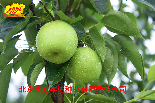 �������������ҵ���޹�˾